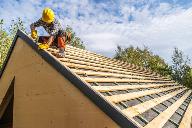 Best Roof Maintenance Services  in Woodland Park, CO