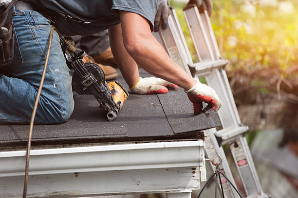 Best Local Roofing Companies  in Woodland Park, CO
