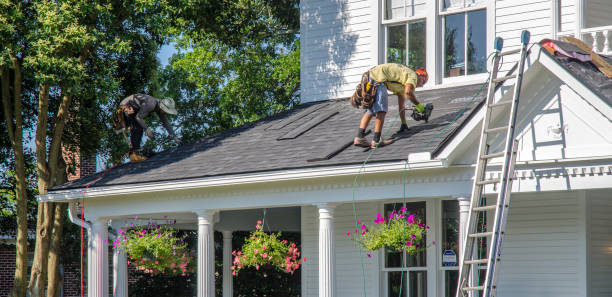 Professional Roofing Contractor in Woodland Park, CO